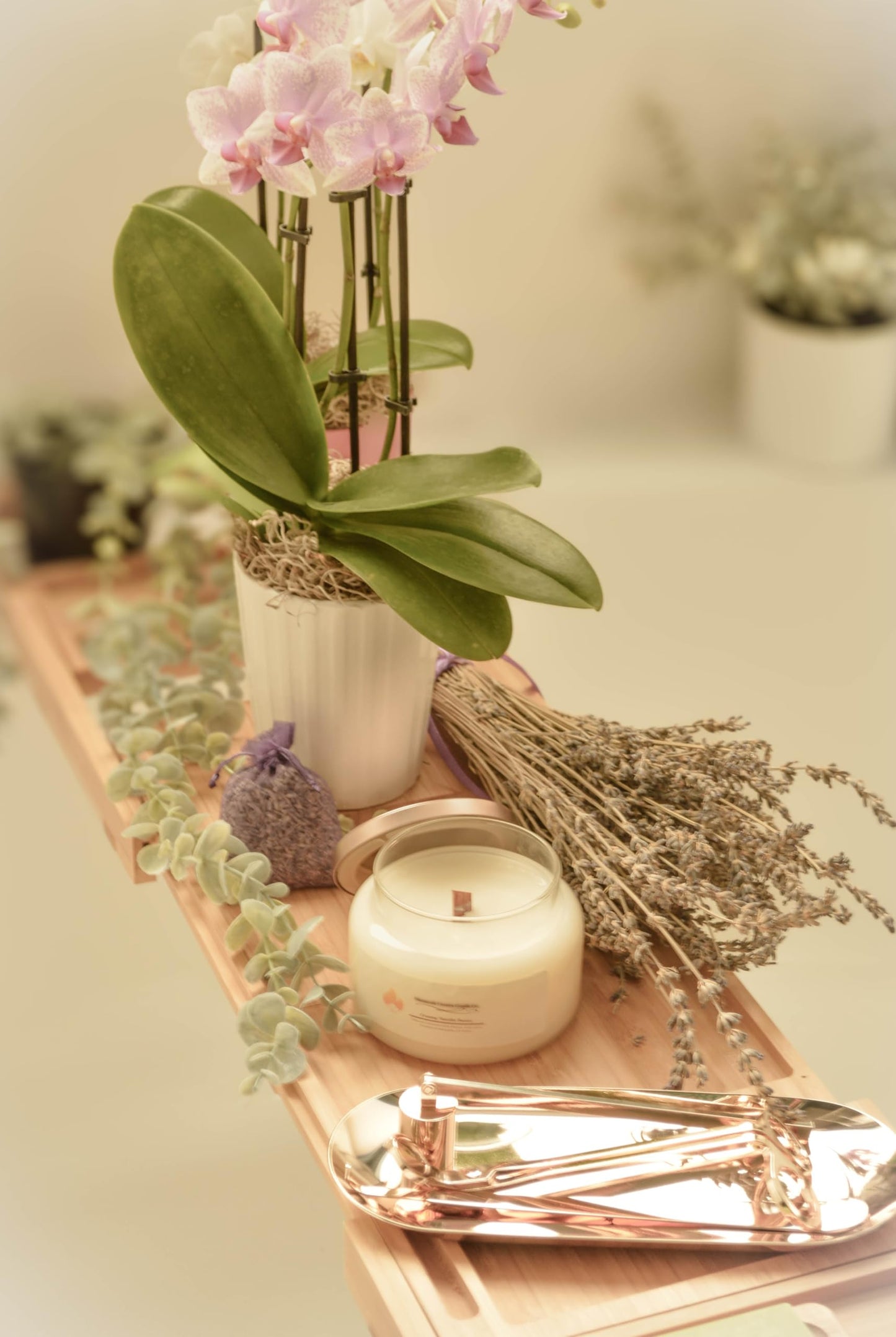 10 OZ | Virgin Coconut Soy Blend Candles with Cracking Wooden Wick | Divinorah Luxury Candle Company | Non-Toxic